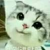 ご弑血★冥君