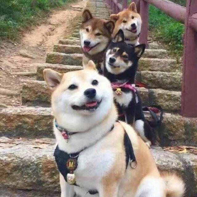 A陈辉煌