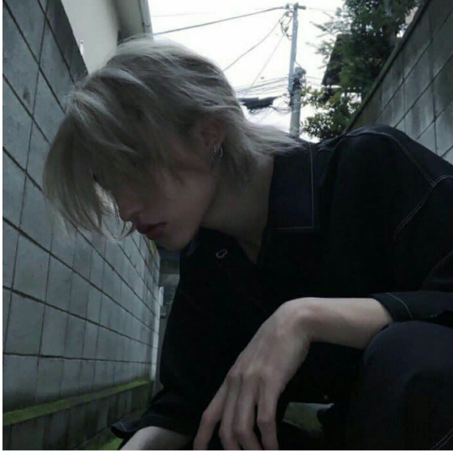 椿