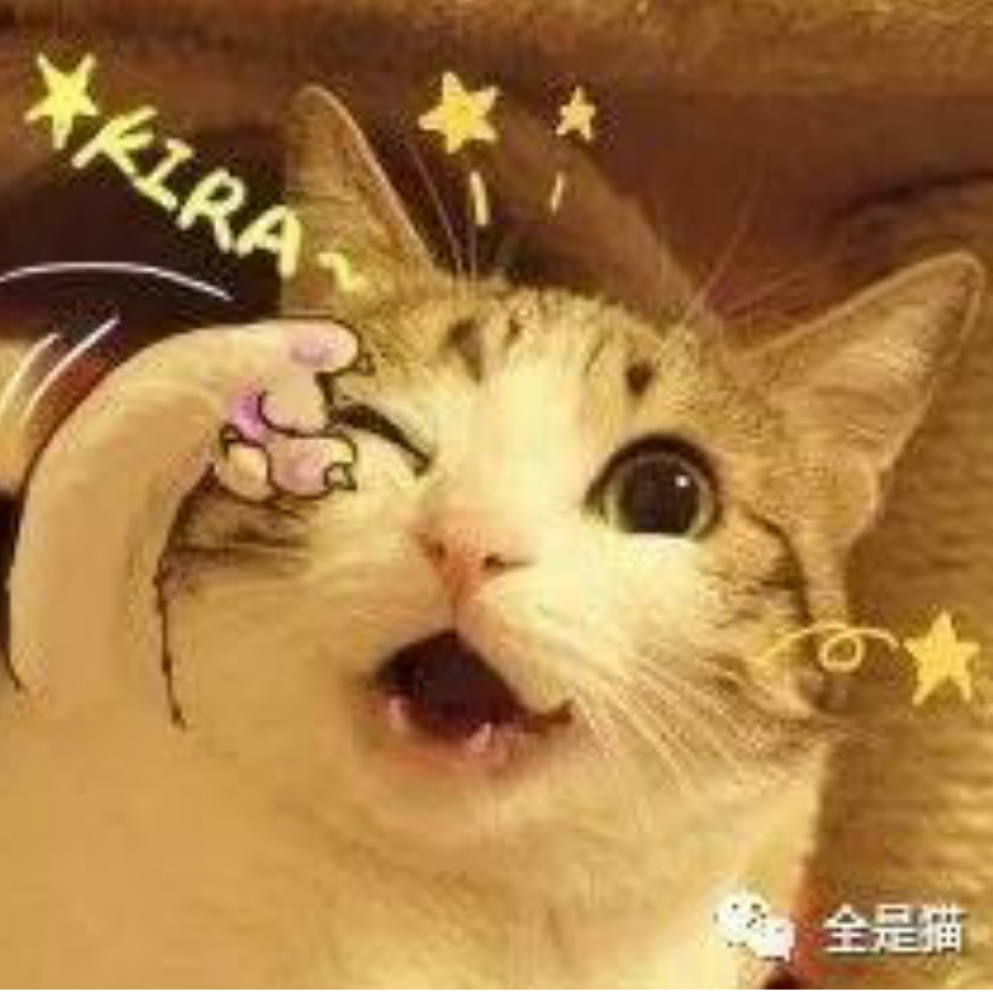 与你伴身