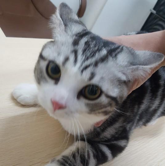 能不能管管开挂孤儿?