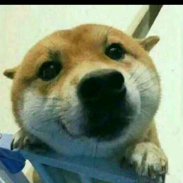 我有选择么
