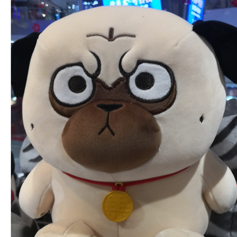 负鼠