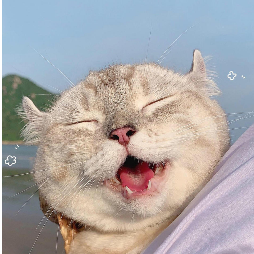 浓浓的咖喱面(ฅ]ω[*ฅ)