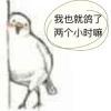 暗中观察
