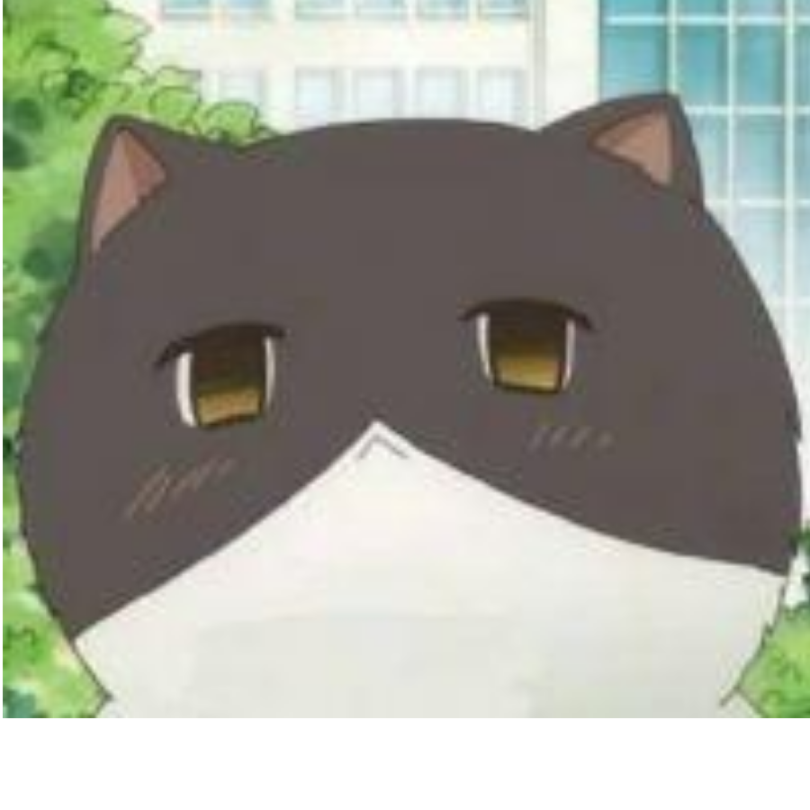 肥肥