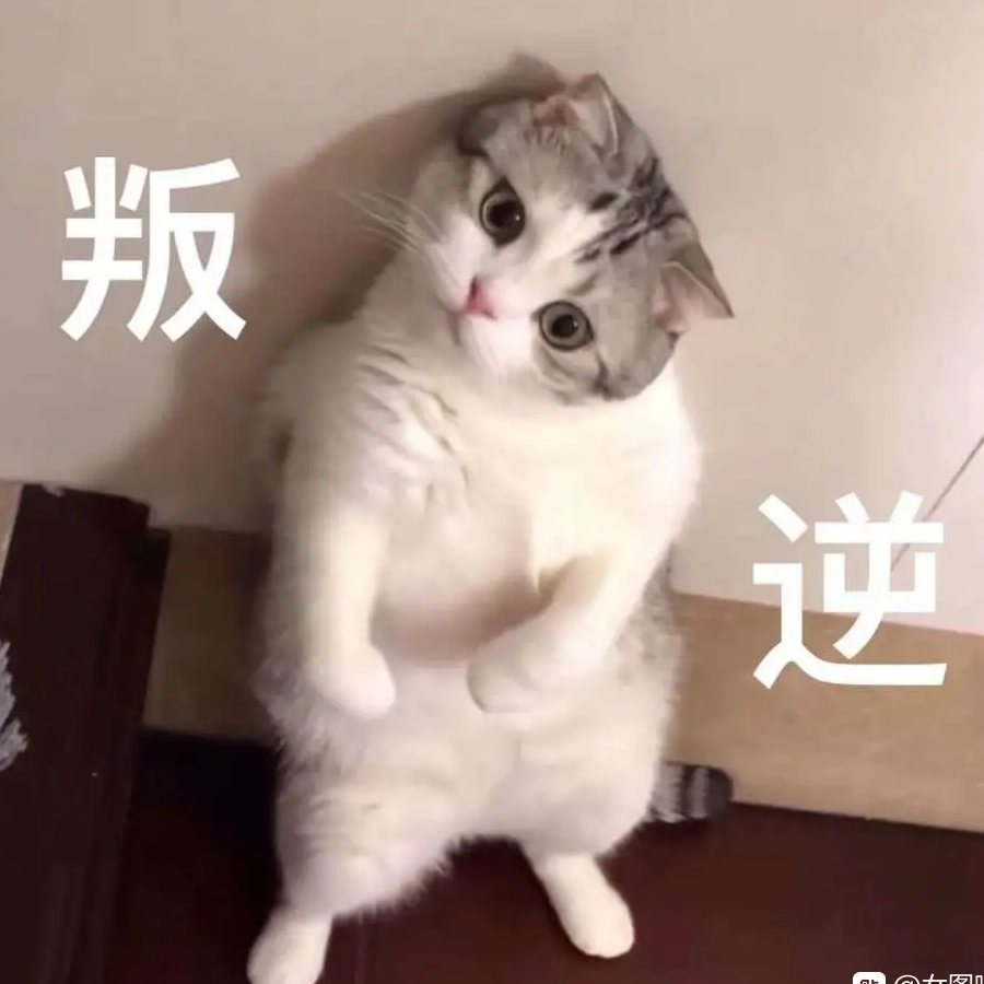 小扇