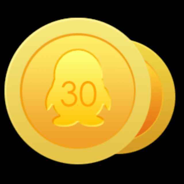 30Q币