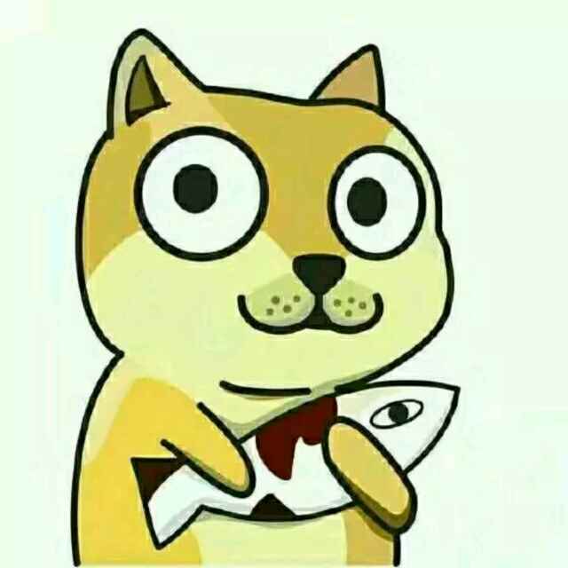 猪猪