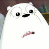 ice bear