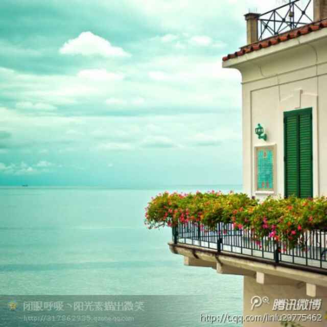 半根鸿毛