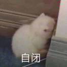 森林