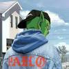 User13816257
