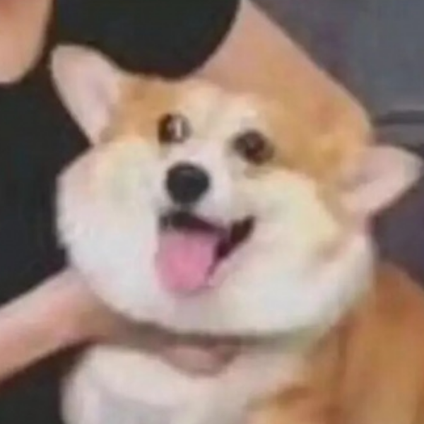 哈哈哈