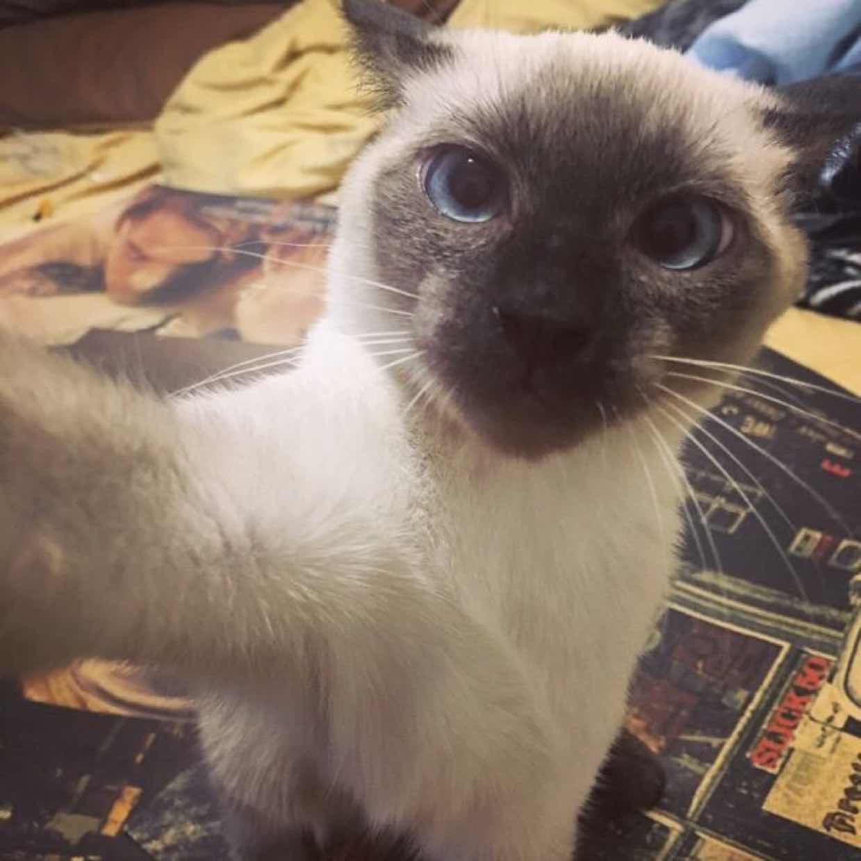 👾