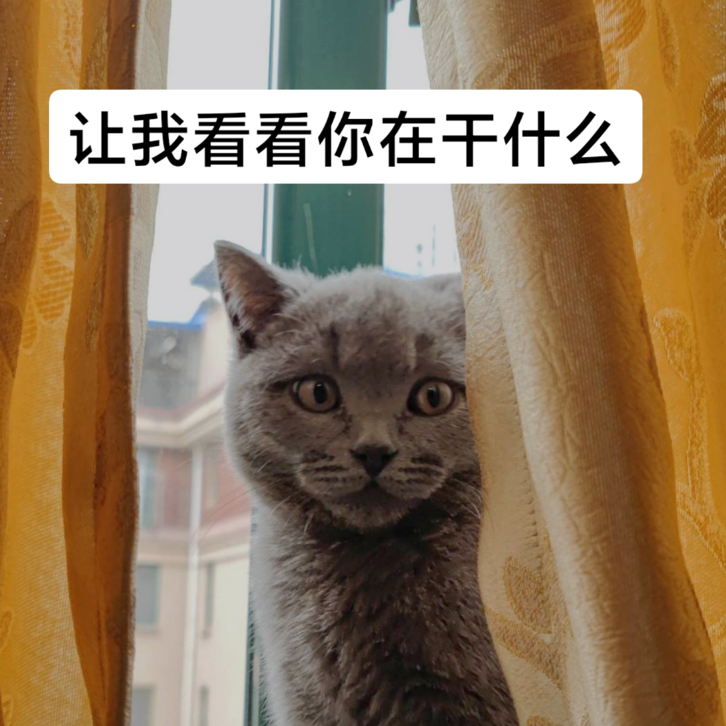 牛大黄