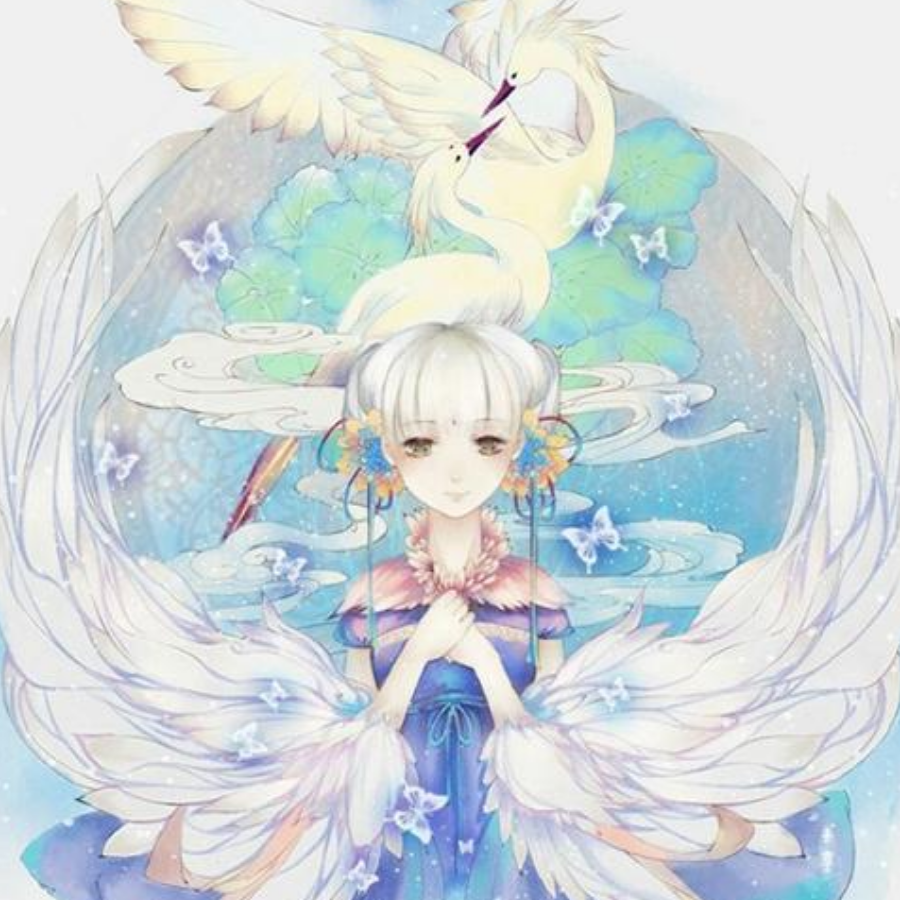 镜花水月