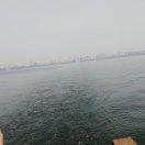 赵虎
