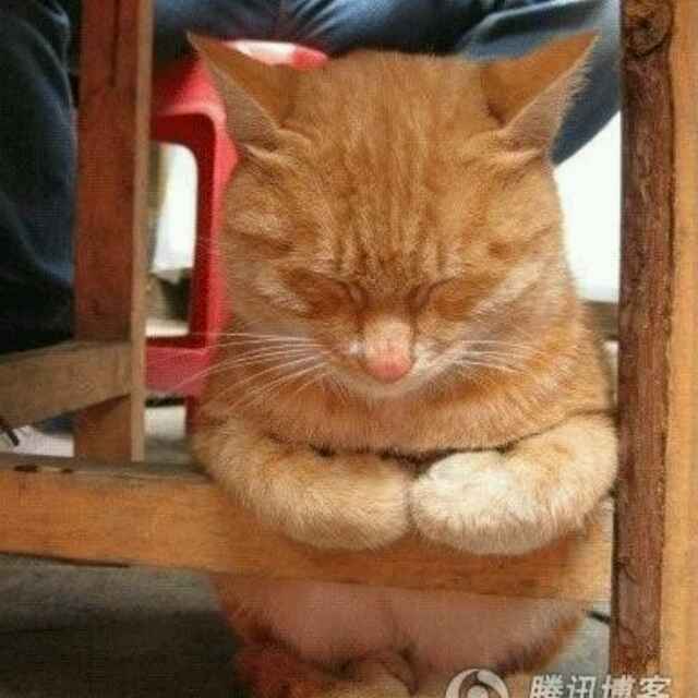 不想说