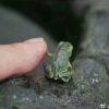 一如既往的平静
