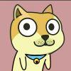 Angry Doge