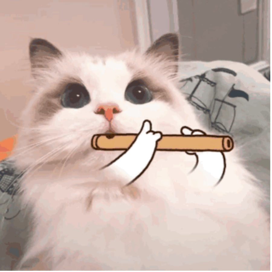 吹笛猫猫头