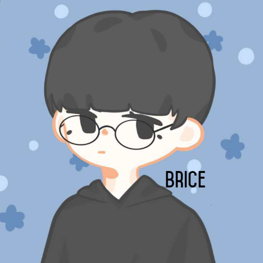 Brice