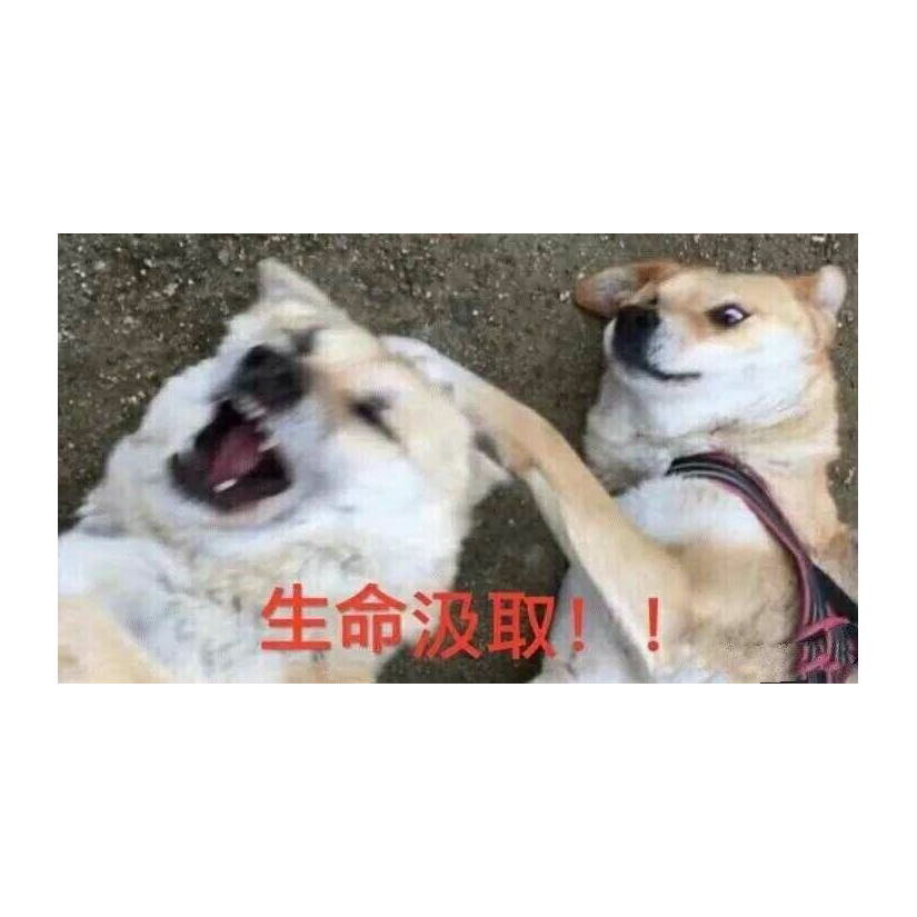 知不知