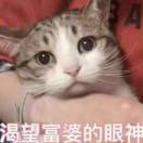 心雨