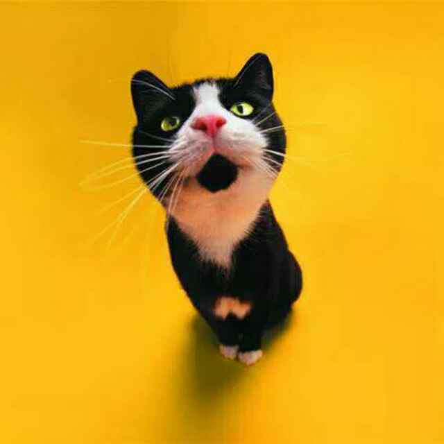 创造与魔法107骗子名单