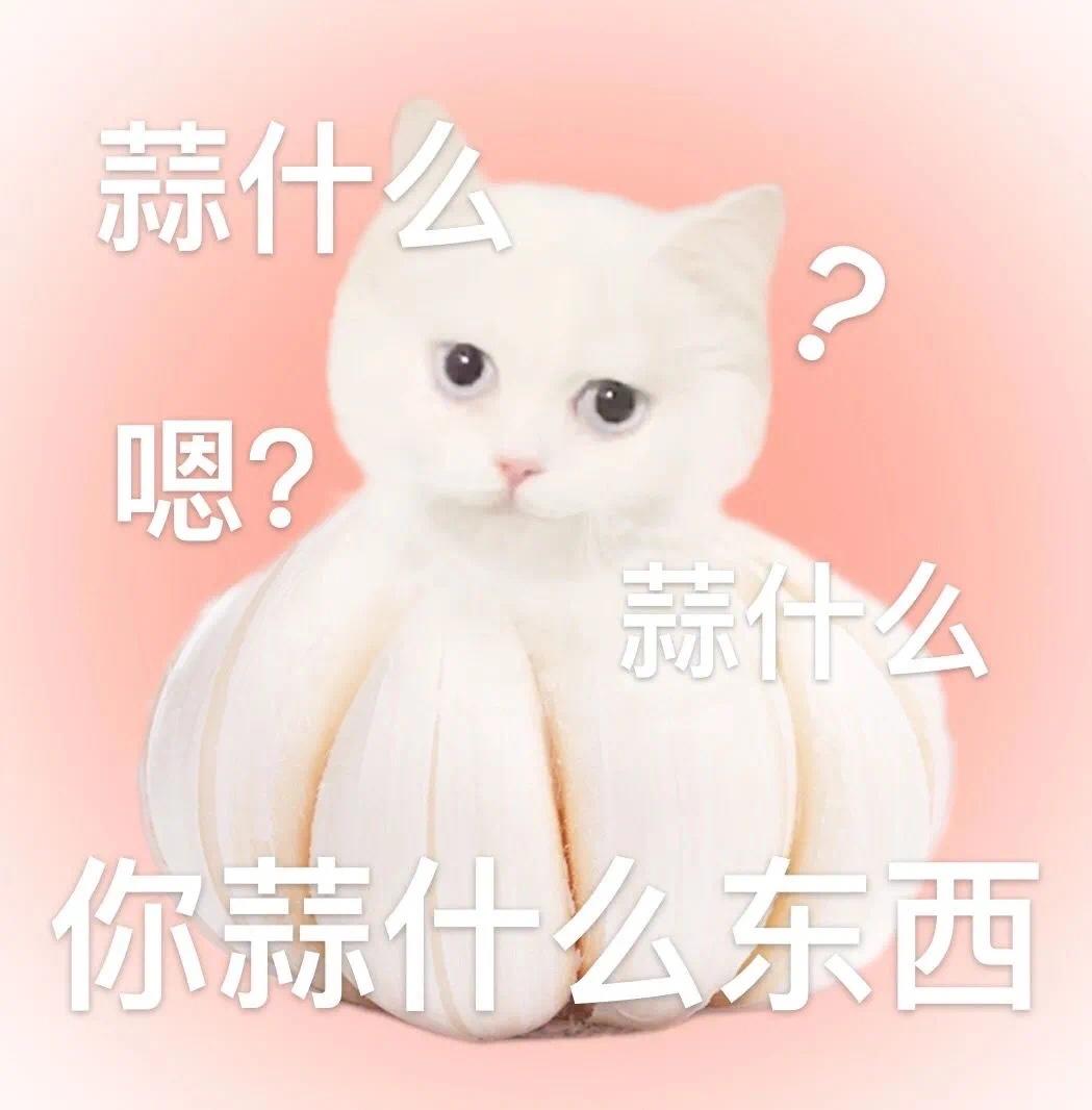 别管我啦