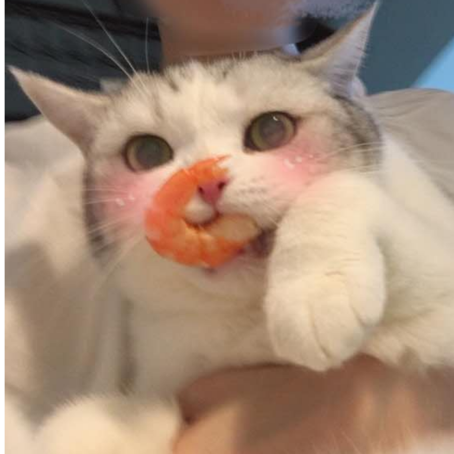 岚