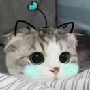 嘟嘟和苏喂