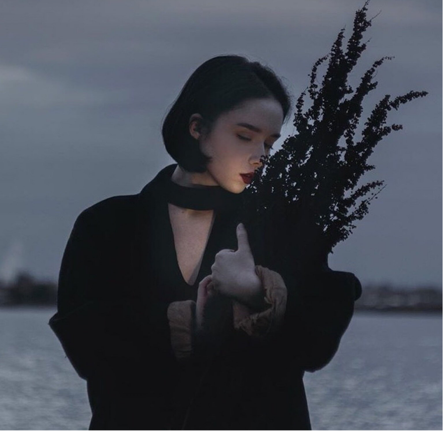 画糖