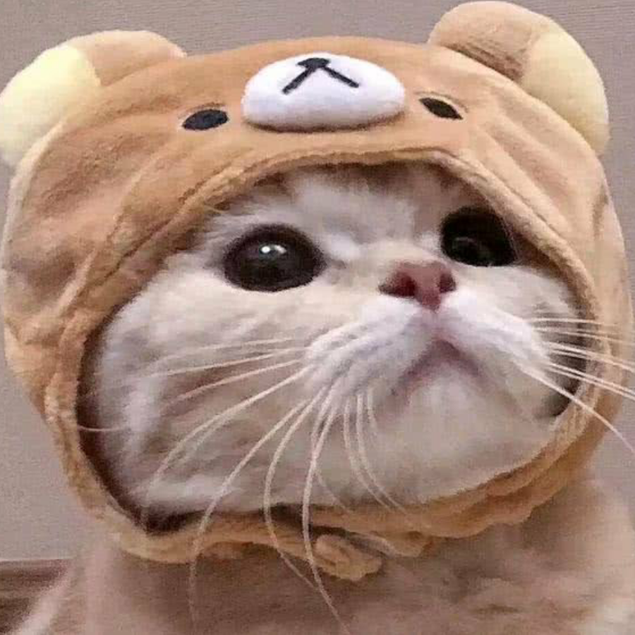 User47371023