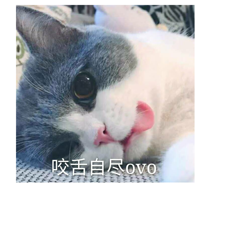 一个怕被翻牌子的人
