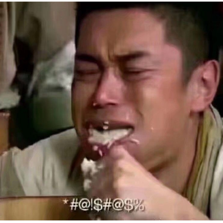 鸽子pigeon