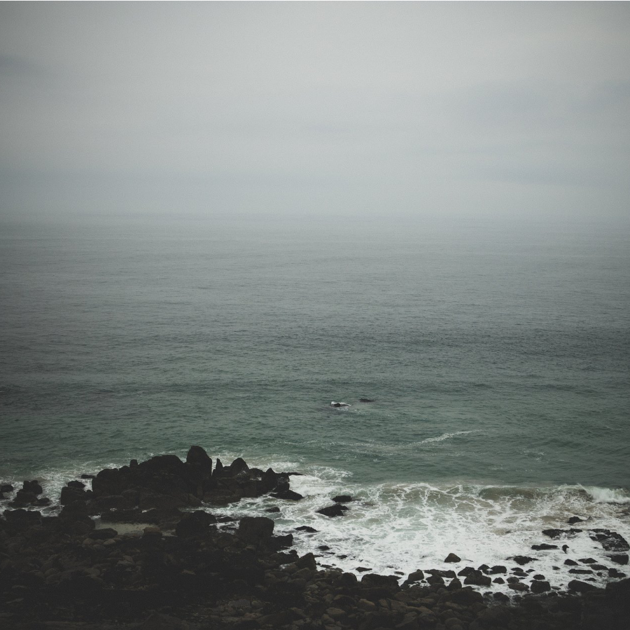 大海xx
