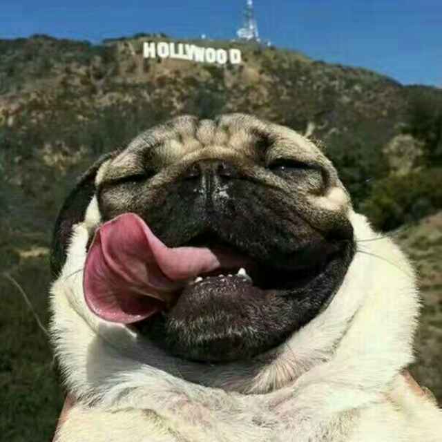 半头瓜