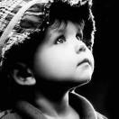 DMUZ_nz