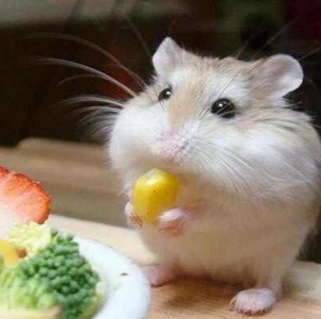举个栗子🌰