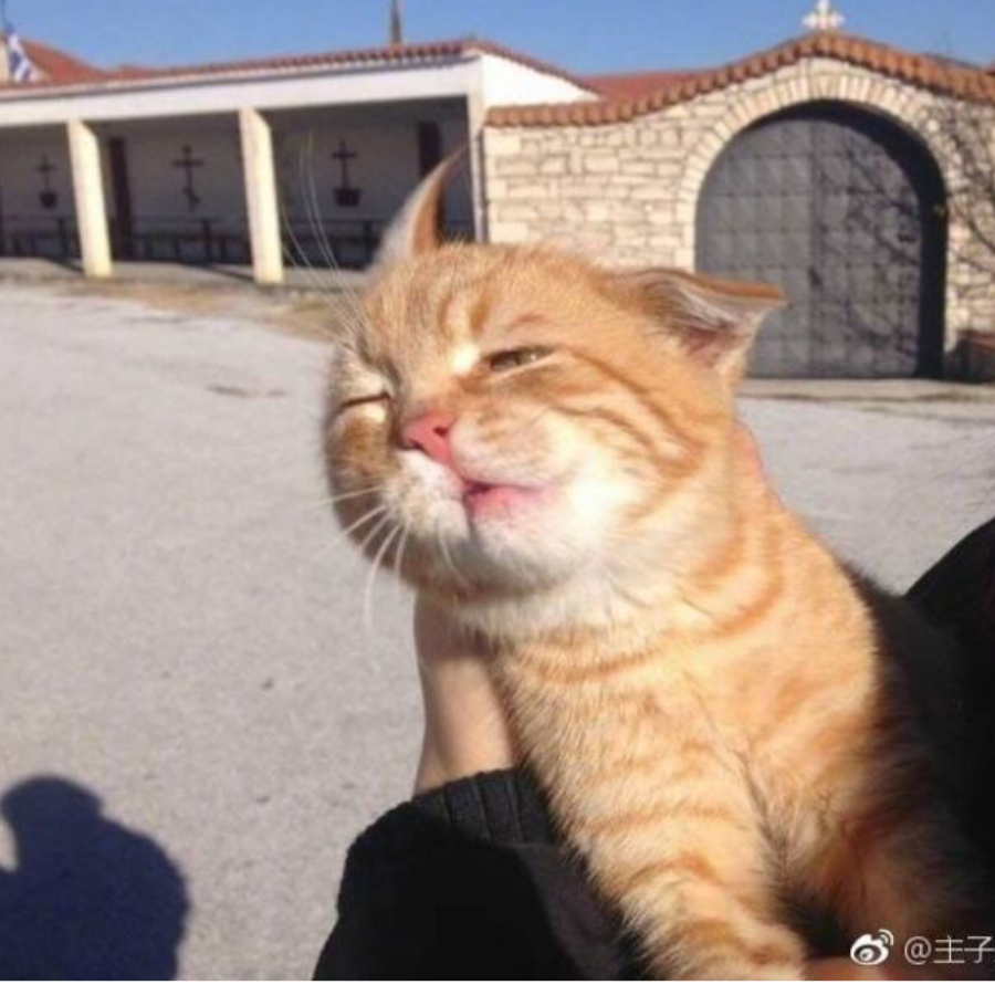 你说后来啊