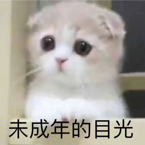小鱼