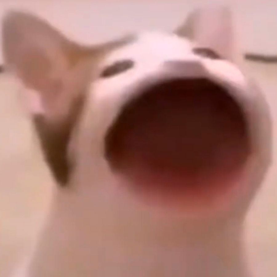 丑不拉几粥