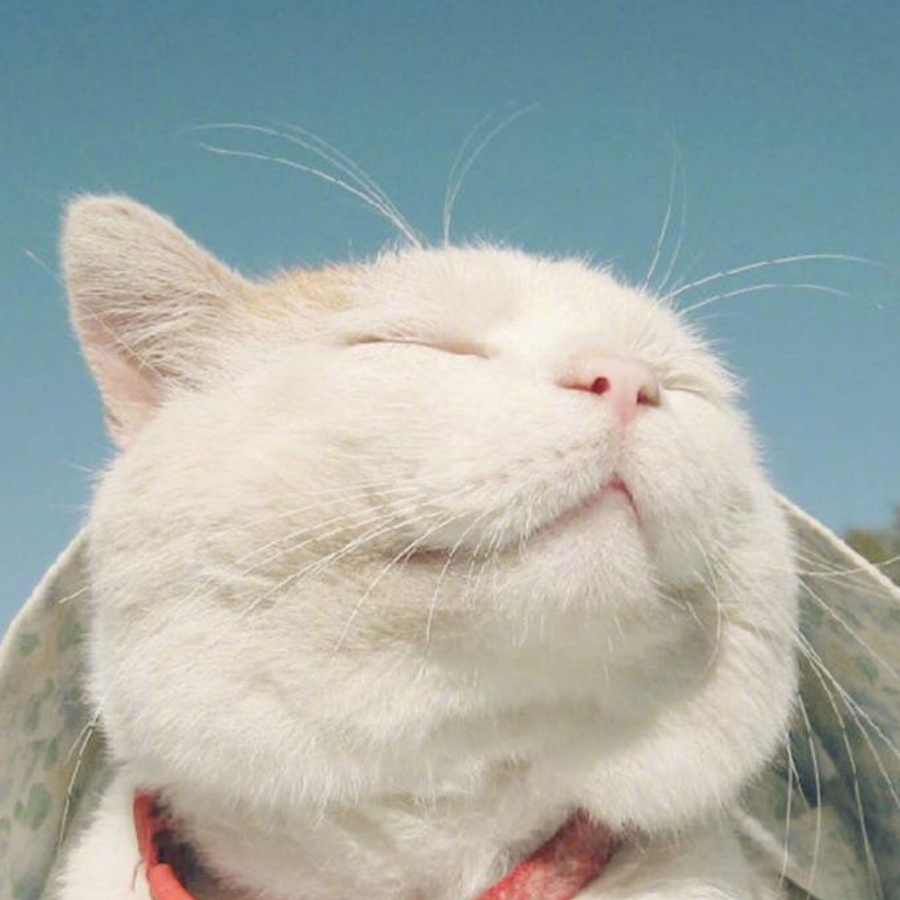 木剑温华