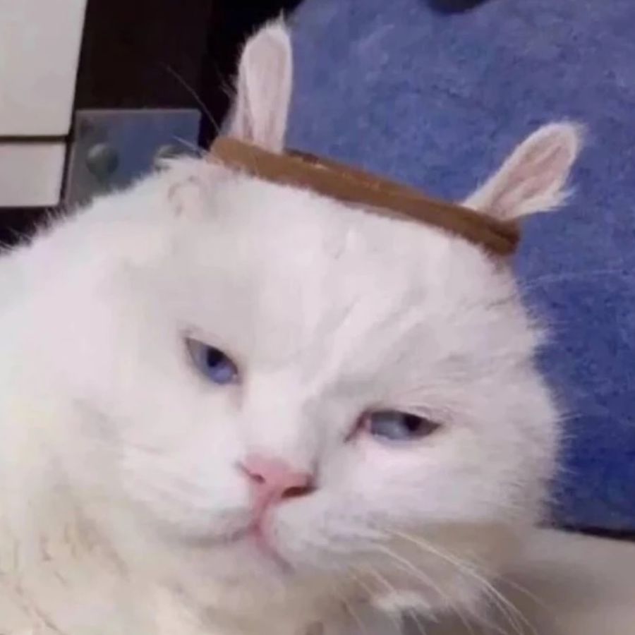 卡bu