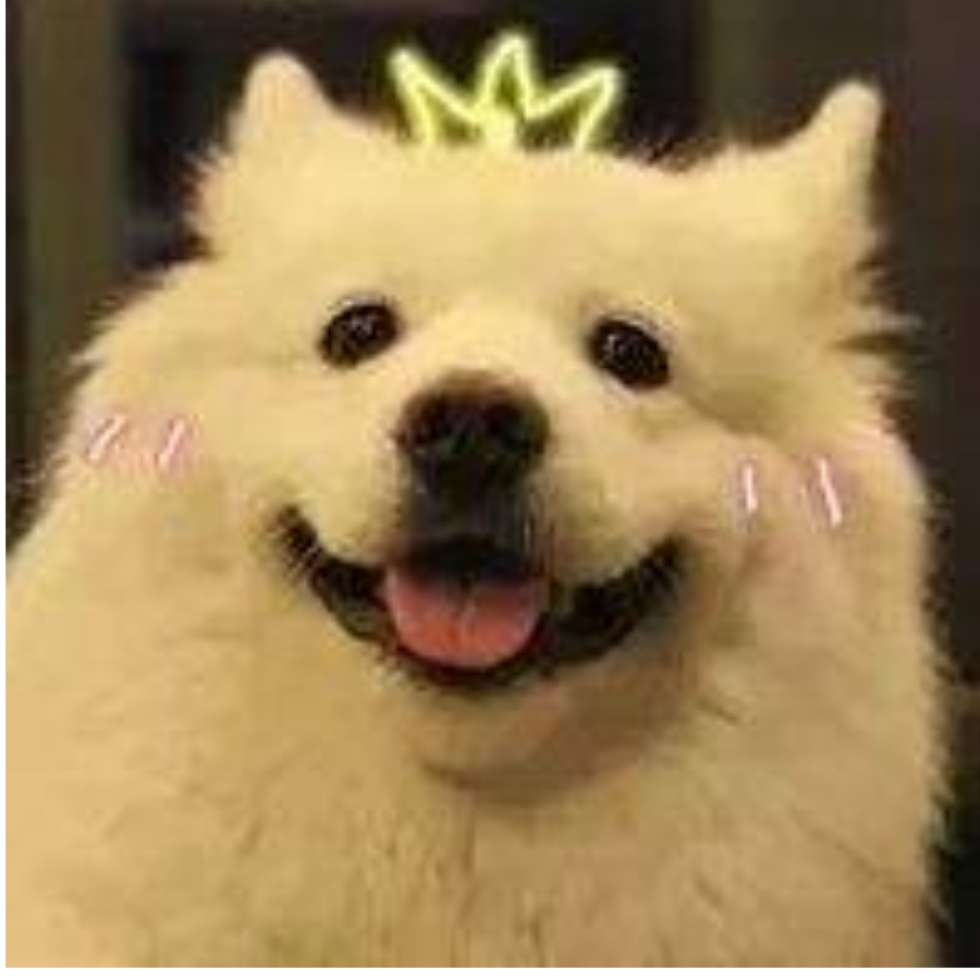 大熊