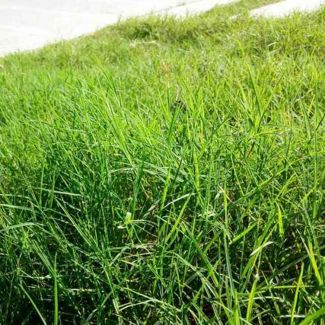 帅的一批啊吖