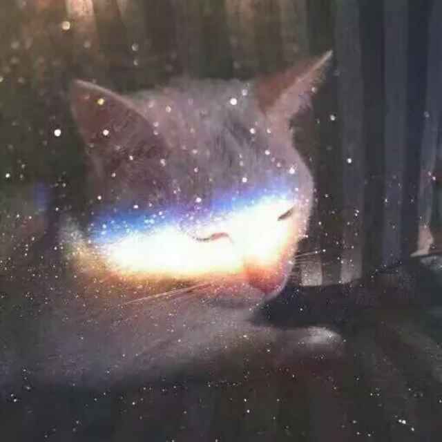 太阳色的鹏哥哥