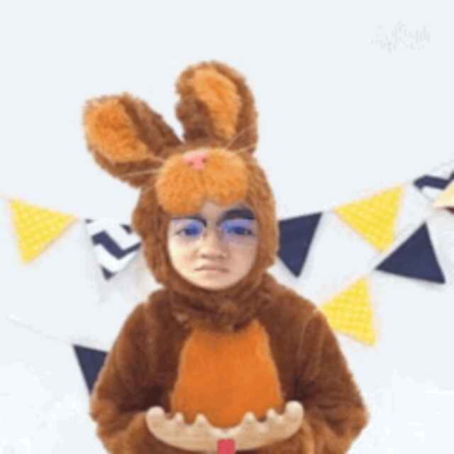K.D.fan